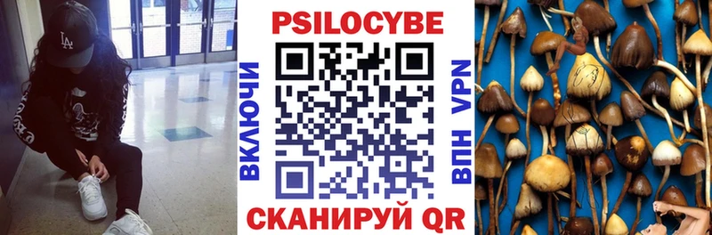мега ТОР купить цена Удомля Псилоцибиновые грибы мухоморы